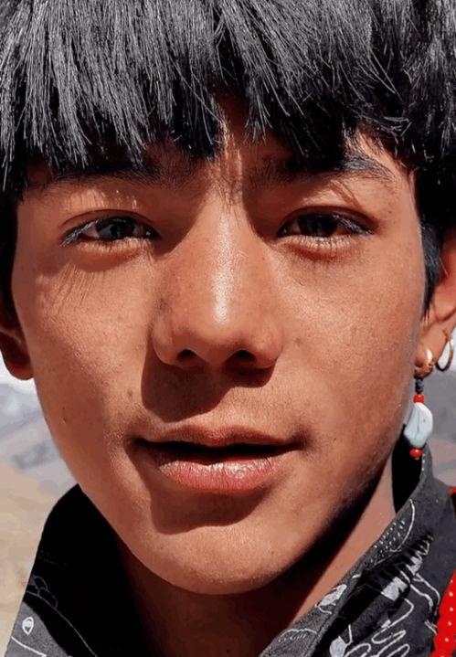 最新爆料丁真珍珠,揭秘网红背后的神秘魅力